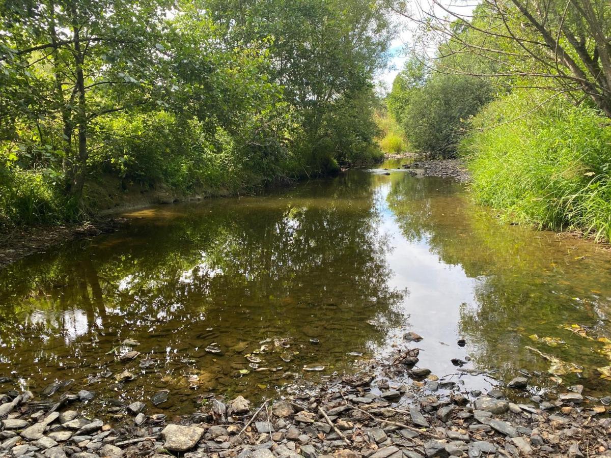 Le Heron - Gite De Charme Cloture, Acces A La Riviere - 6 Ou 10 Personnes Fauvillers Dış mekan fotoğraf